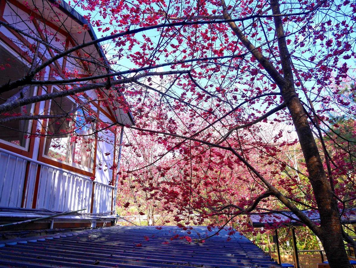 Apartmán 森之秘湯 Mhuwe Hotspring Renai Pokoj fotografie