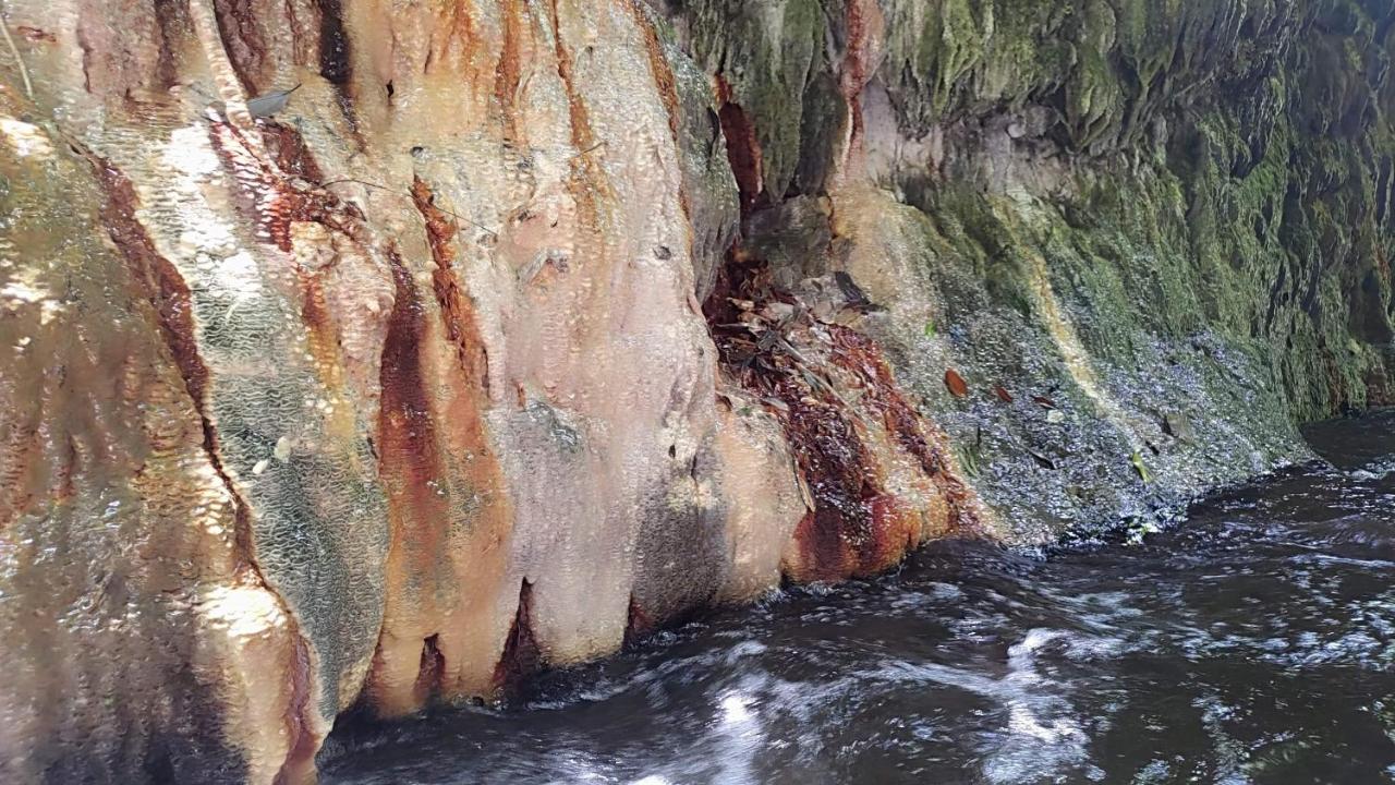 Apartmán 森之秘湯 Mhuwe Hotspring Renai Exteriér fotografie